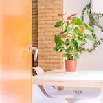 Apartamento Centro De Old Town